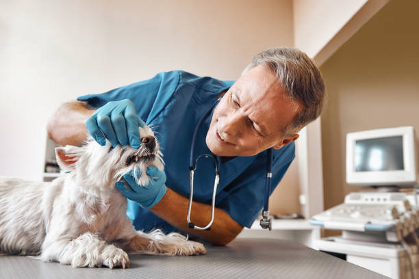 Best Emergency Tooth Extraction in Indian Trail, NC