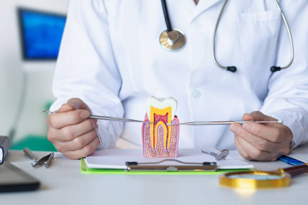 Best Cosmetic Emergency Dentistry in Indian Trail, NC